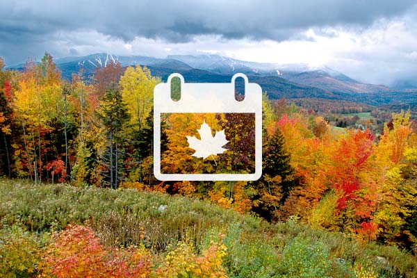 Fall foliage with far-away mountains