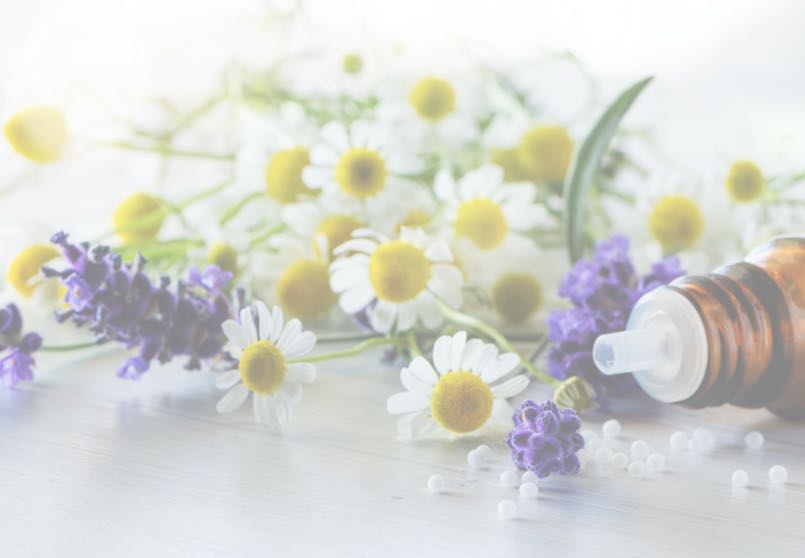 Fresh-cut wildflowers and homeopathic pellets